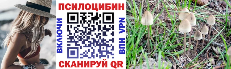 Псилоцибиновые грибы мухоморы  наркота  Шимановск 